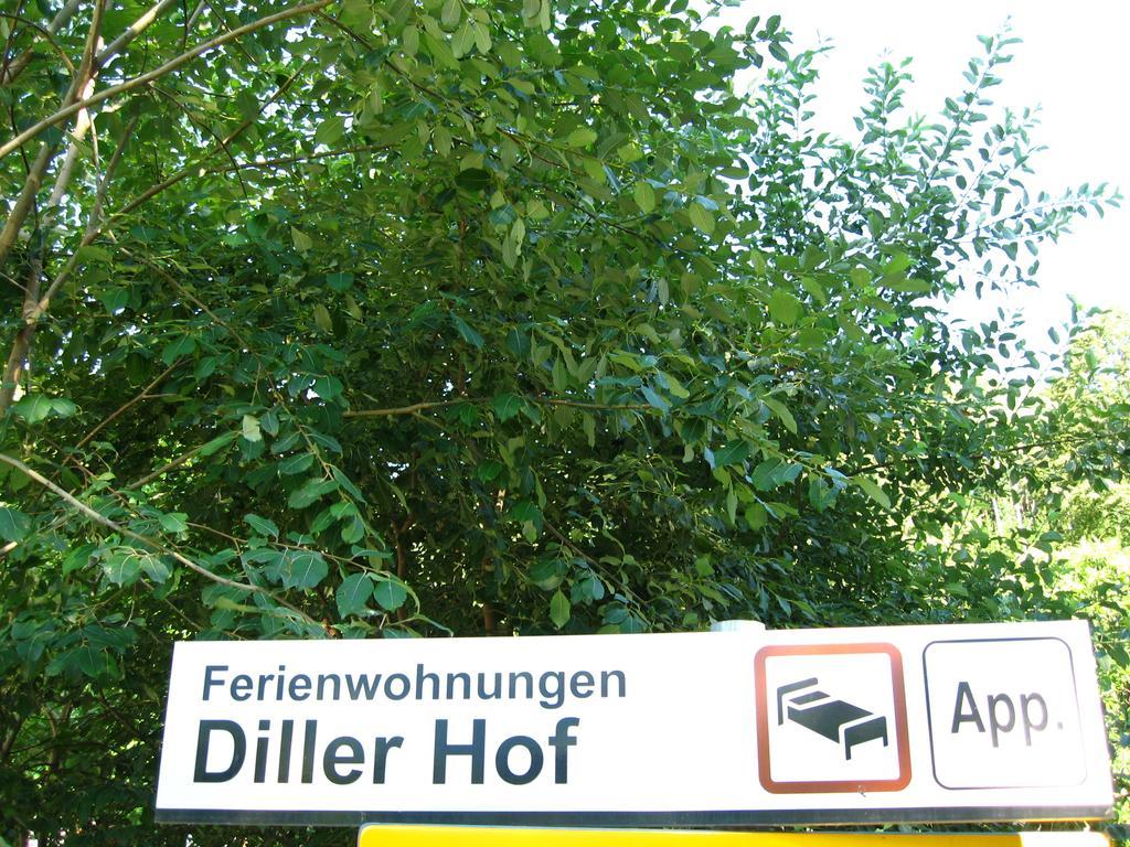 Dillerhof Apartamento Laion Exterior foto